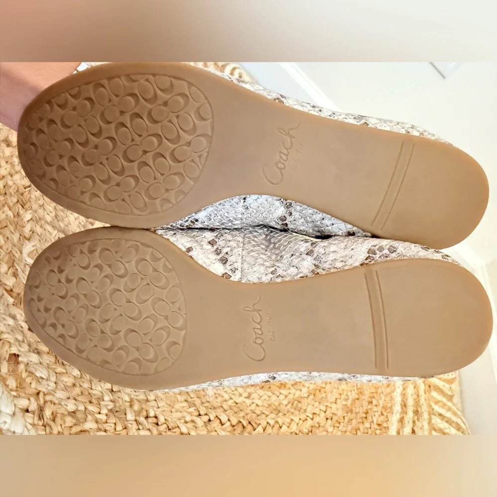 🌾‎ Coach Darsi Snakeskin Ballet Flat with Metallic Detail LIKE NEW